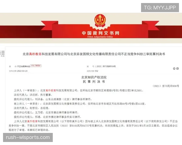 裁判对不当行为的判罚标准与处罚